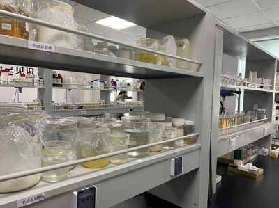 小康夢(mèng)圓 | 留學(xué)歸國創(chuàng)業(yè)者鄭春陽 以“酶”為筆，在通信技術(shù)開發(fā)中書寫生物企業(yè)的創(chuàng)新故事