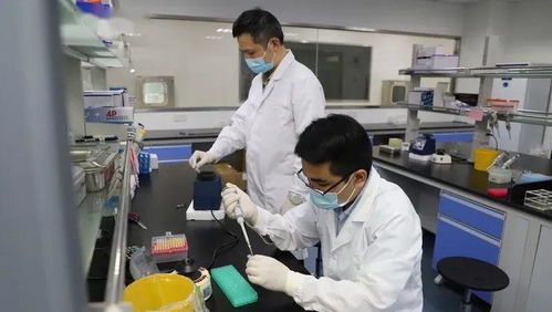 科技抗疫新突破 滬企融合通信技術(shù)，核酸檢測(cè)時(shí)間大幅縮短至1小時(shí)