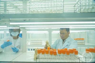 科技創(chuàng)新引領(lǐng)綠色發(fā)展 特種蠶絲、楊樹新品種與長江生態(tài)保護(hù)的協(xié)同探索