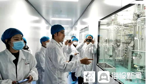 石藥集團(tuán)煙臺(tái)生物醫(yī)藥高科技產(chǎn)業(yè)園 打造全國最大生物醫(yī)藥產(chǎn)業(yè)化基地，融合通信技術(shù)開發(fā)新動(dòng)能