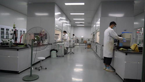 千帆競發(fā)浪潮涌 三門以通信技術(shù)開發(fā)為抓手，全力打造接滬融甬先行區(qū)